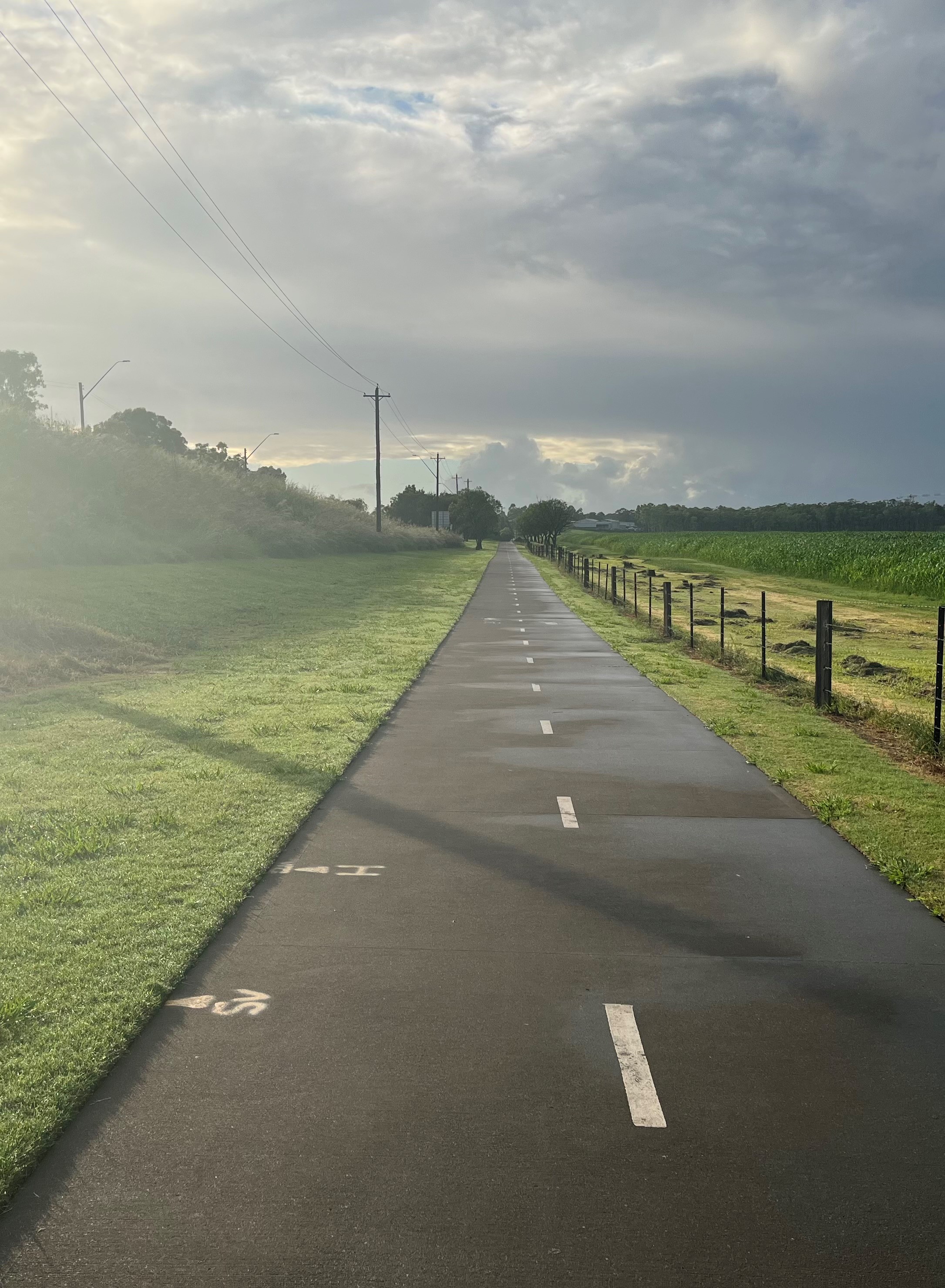The path from our farm, Wollombi, NSW